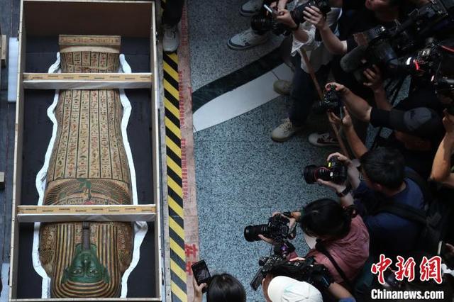 上海研学之旅好去处  788件古埃及文物“包机”抵沪